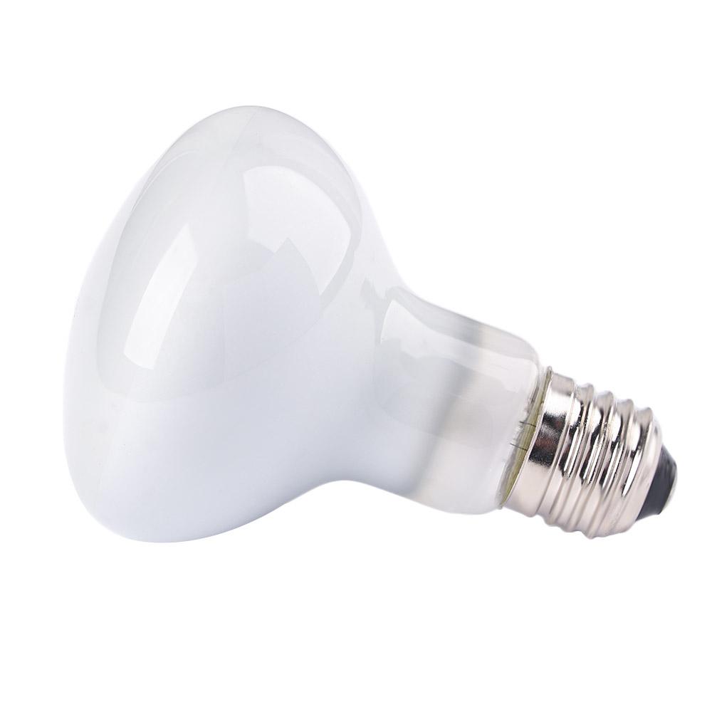 Basking Bulb Halogen - เครื่องควบคุมอุณหภูมิสำหรับสัตว์ครึ่งบกครึ่งน้ำ หลอดฮาโลเจน หลอดแสง UVA สำหรับสัตว์เลื้อยคลาน