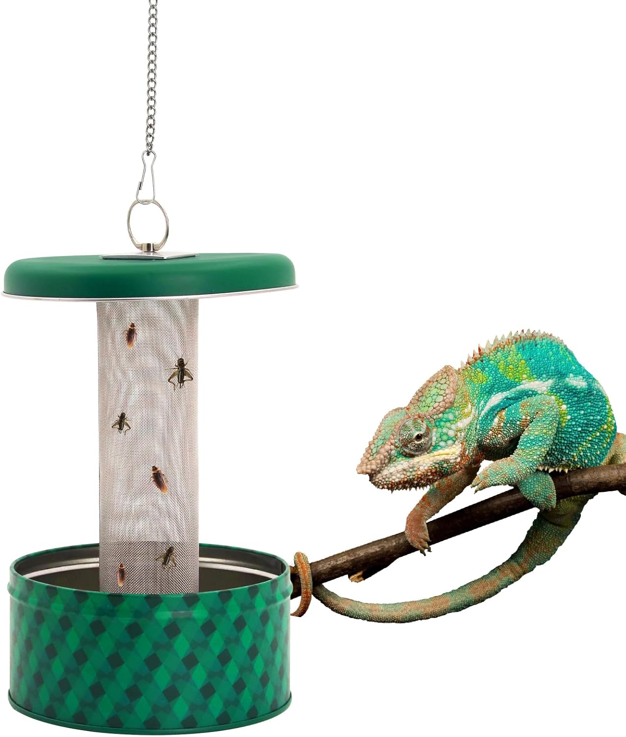 Water Dish Reptile - กล่องให้อาหารสัตว์เลื้อยคลานแบบติดผนัง พร้อมจุกดูด สำหรับมังกรเครา คาเมเลี่ยน และแมลง อุปกรณ์สำหรับตู้ปลาและตู้เลี้ยงสัตว์