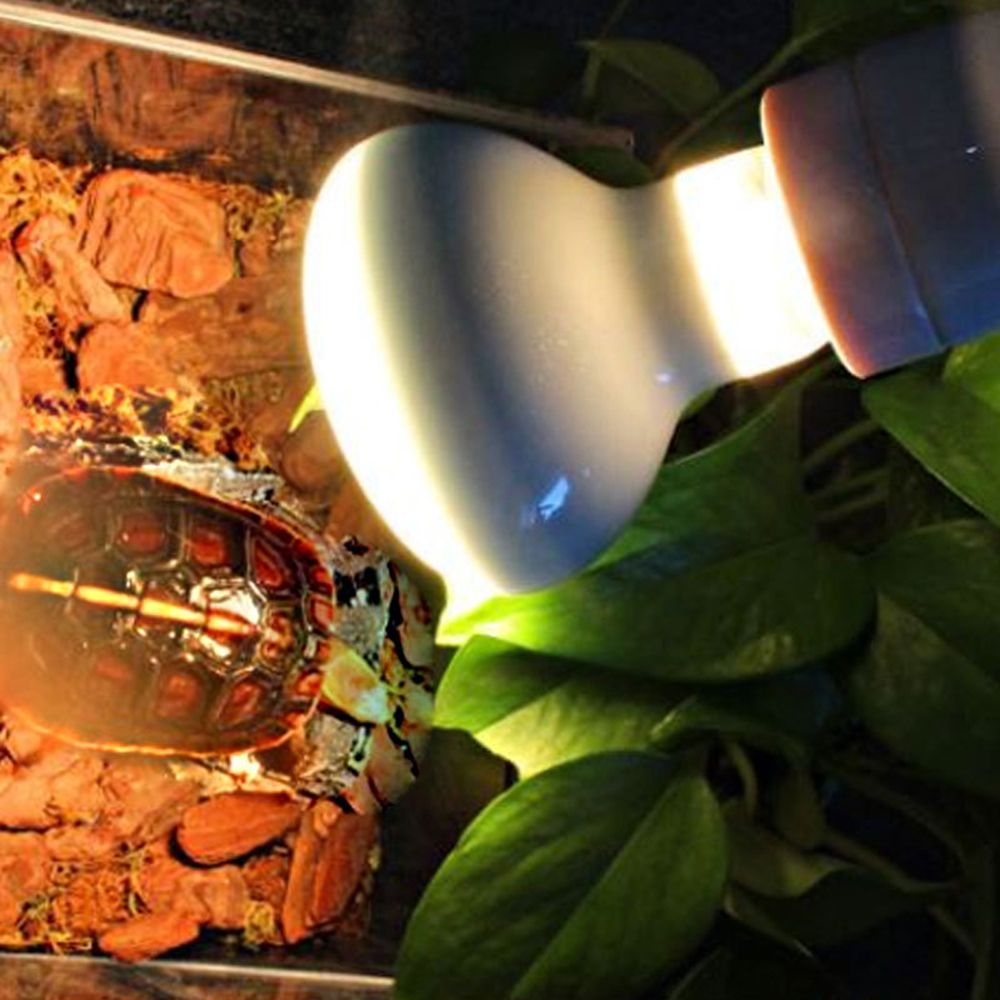 เครื่องควบคุมอุณหภูมิสำหรับสัต - Basking Bulb Halogen บทวิจารณ์และราคา
