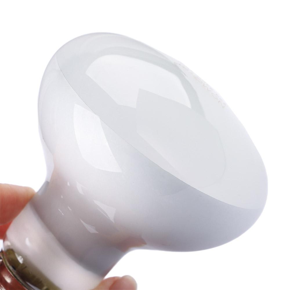 เครื่องควบคุมอุณหภูมิสำหรับสัต - Basking Bulb Halogen บทวิจารณ์และราคา