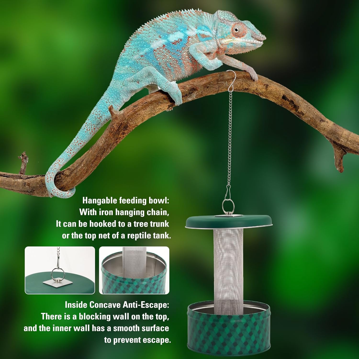 กล่องให้อาหารสัตว์เลื้อยคลานแบ - Water Dish Reptile บทวิจารณ์และราคา