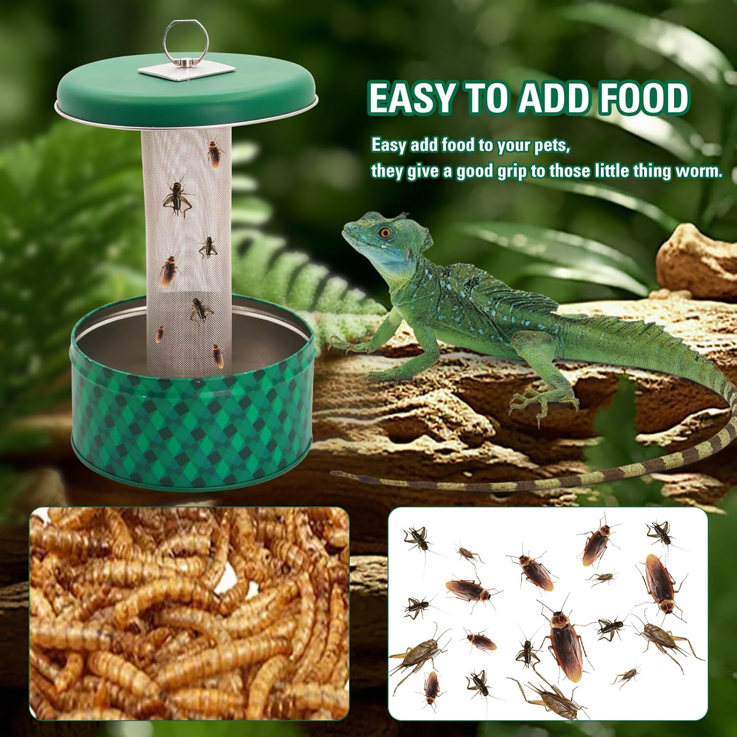 กล่องให้อาหารสัตว์เลื้อยคลานแบ - Water Dish Reptile บทวิจารณ์และราคา