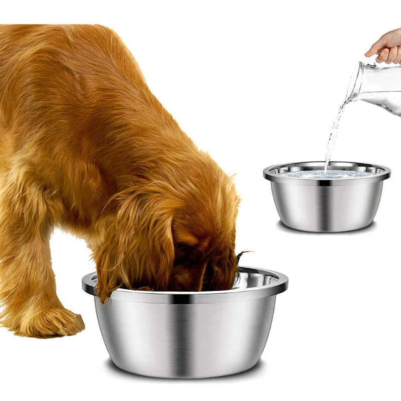 สแตนเลสสตีลเครื่องให้อาหารสุนั - Royal Canin Food Medium บทวิจารณ์และราคา