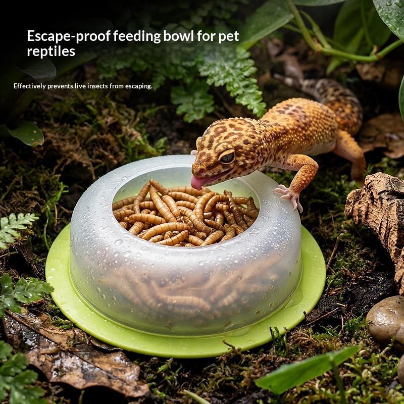 ชามอาหารสำหรับสัตว์เลื้อยคลาน  - Water Dish Reptile บทวิจารณ์และราคา