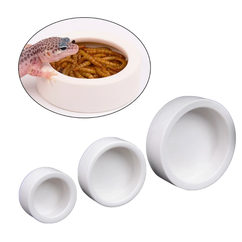 ชามอาหารสัตว์เลื้อยคลานป้องกัน - Water Dish Reptile บทวิจารณ์และราคา