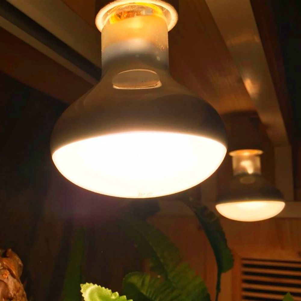 หลอดไฟให้ความร้อนสำหรับเต่า หล - Basking Bulb Halogen บทวิจารณ์และราคา