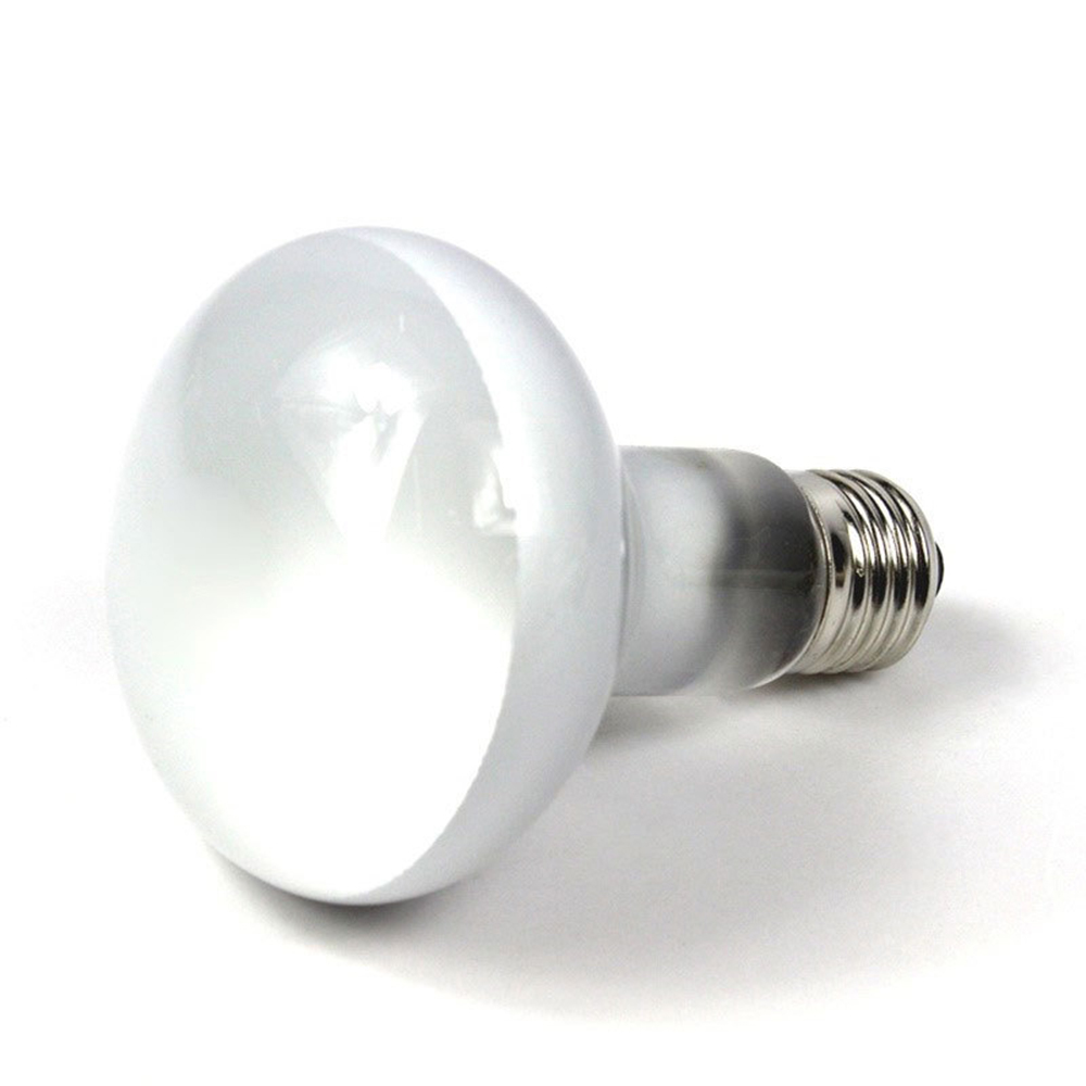 หลอดไฟให้ความร้อนสำหรับเต่า หล - Basking Bulb Halogen บทวิจารณ์และราคา